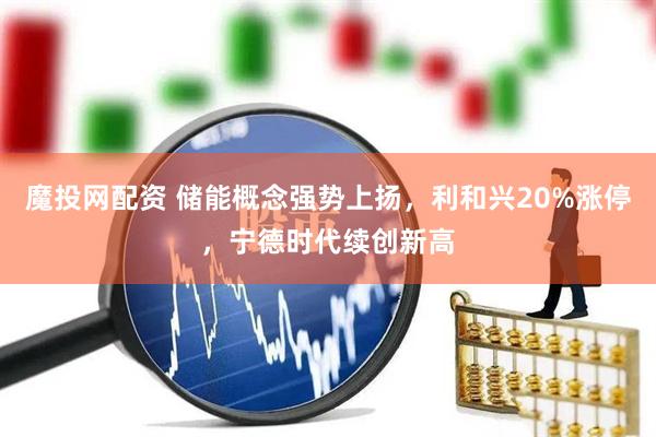 魔投网配资 储能概念强势上扬，利和兴20%涨停，宁德时代续创新高