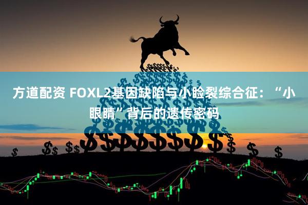 方道配资 FOXL2基因缺陷与小睑裂综合征：“小眼睛”背后的遗传密码